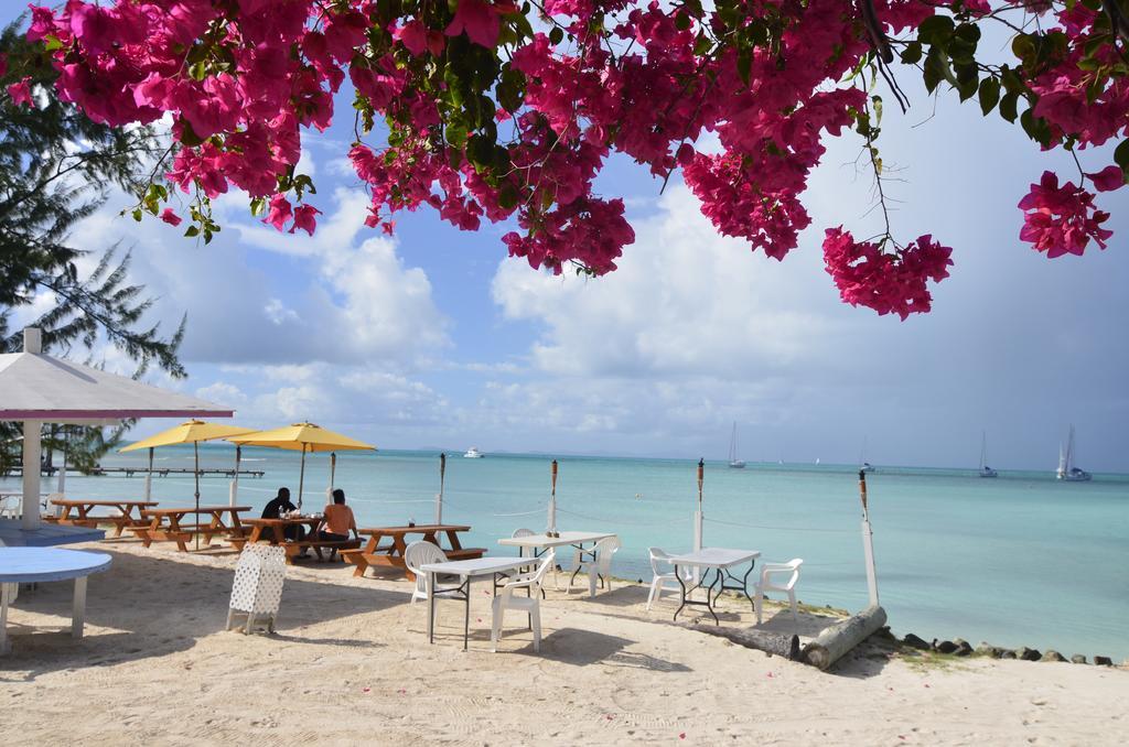 Anegada Reef Hotel The Settlement Zewnętrze zdjęcie